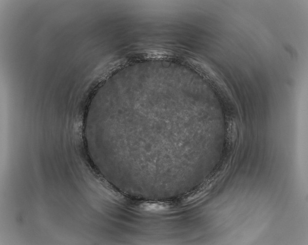 X0000110950557200906261323