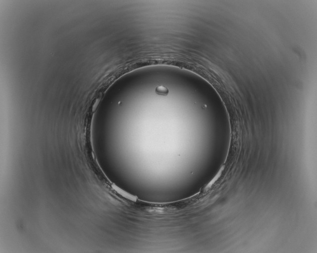 X0000110950558200906261323