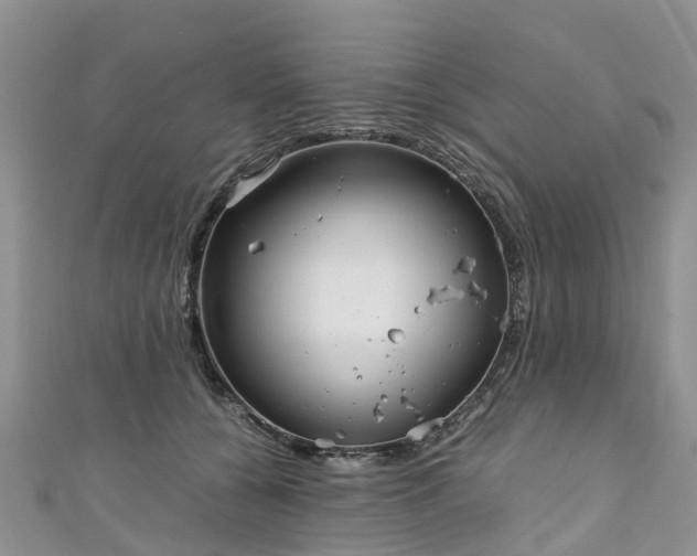 X0000110950560200906261323