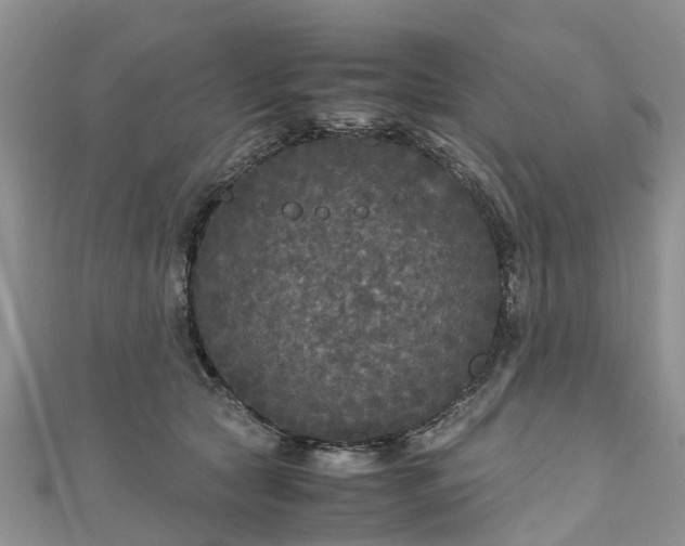 X0000110950561200906261323