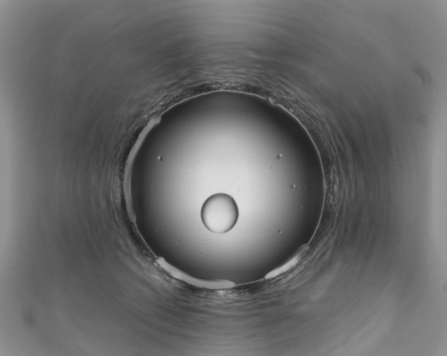 X0000110950562200906261323