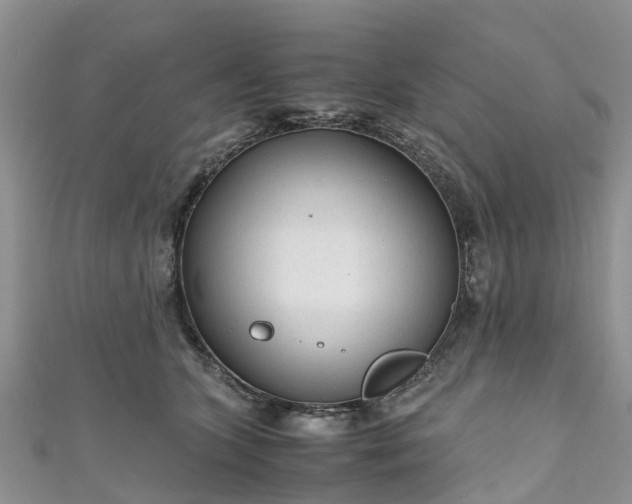 X0000110950563200906261323