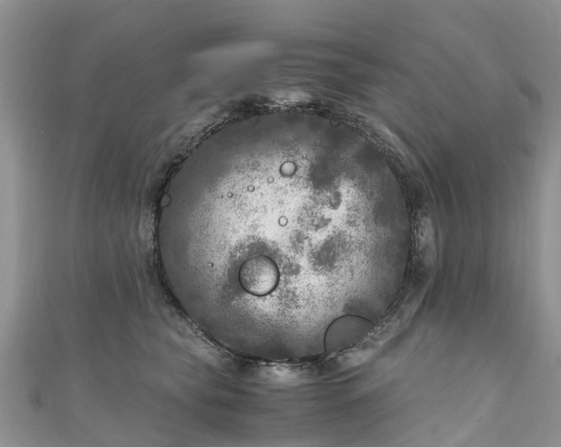 X0000110950565200906261323