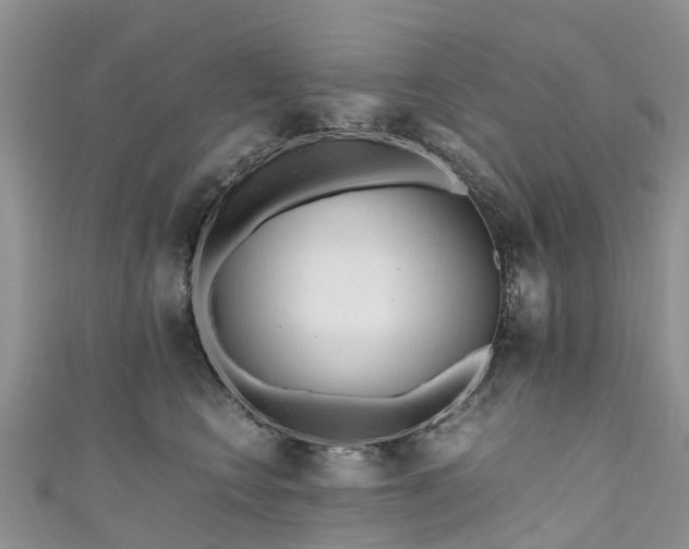 X0000110950566200906261323