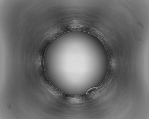 X0000110950567200906261323