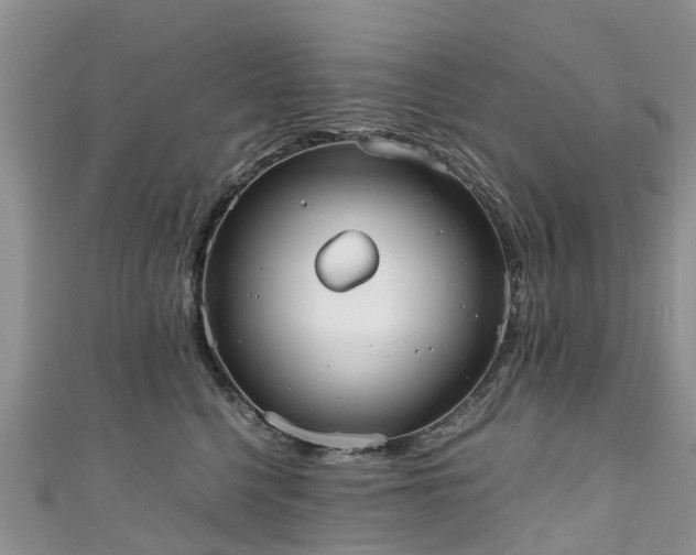 X0000110950568200906261323