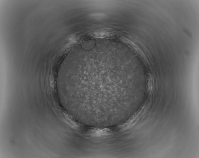 X0000110950569200906261323