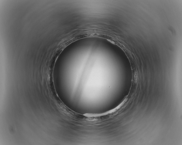 X0000110950570200906261323