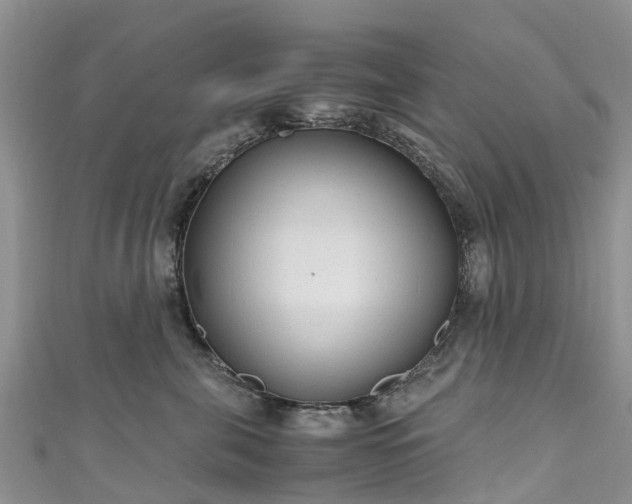 X0000110950571200906261323