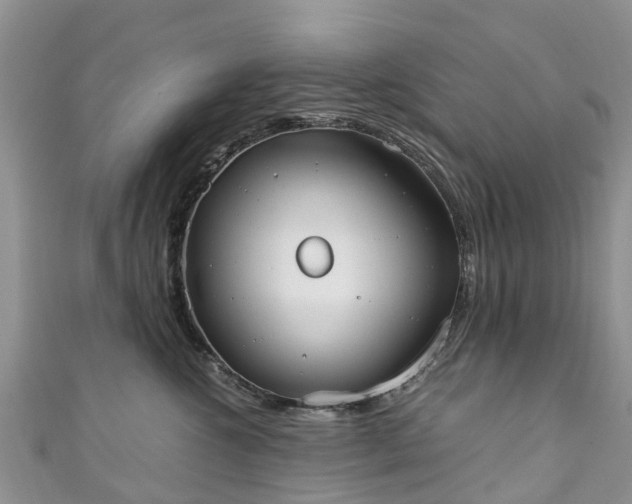 X0000110950572200906261323