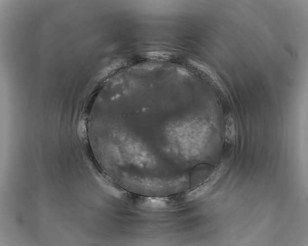 X0000110950573200906261323