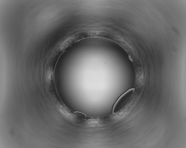 X0000110950574200906261323