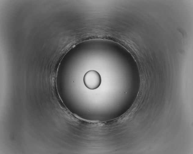 X0000110950576200906261323