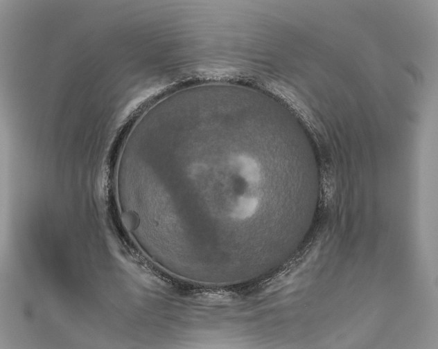 X0000110950583200906261322