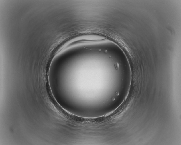X0000110950585200906261322