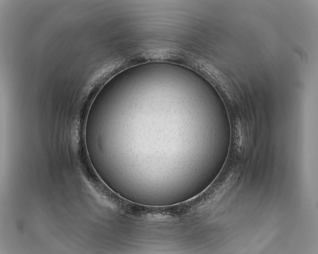X0000110950586200906261322