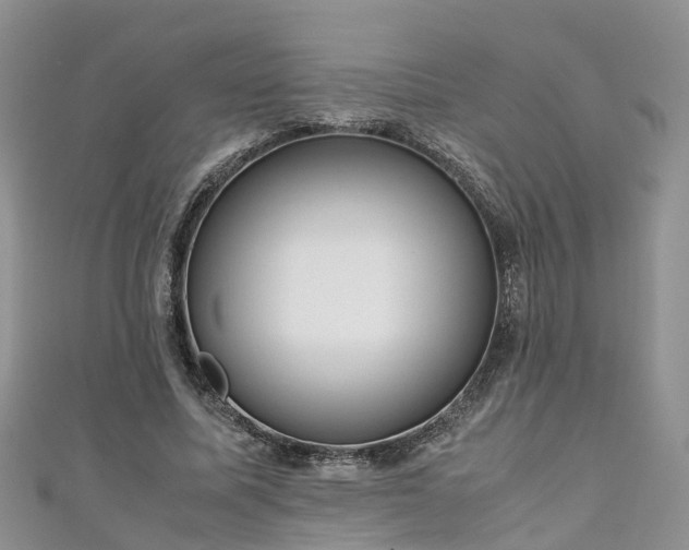 X0000110950587200906261322