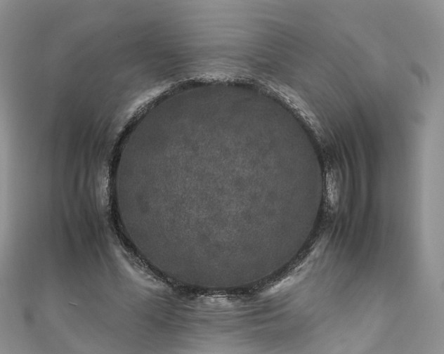 X0000110950588200906261322