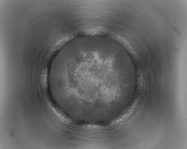 X0000110950590200906261322