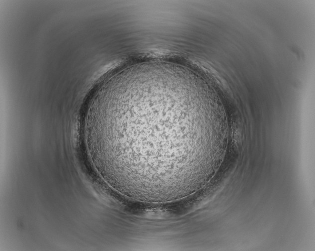 X0000110950591200906261322