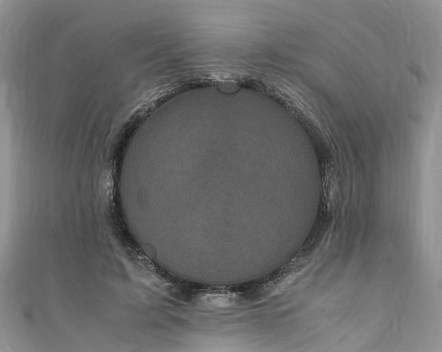 X0000110950595200906261322