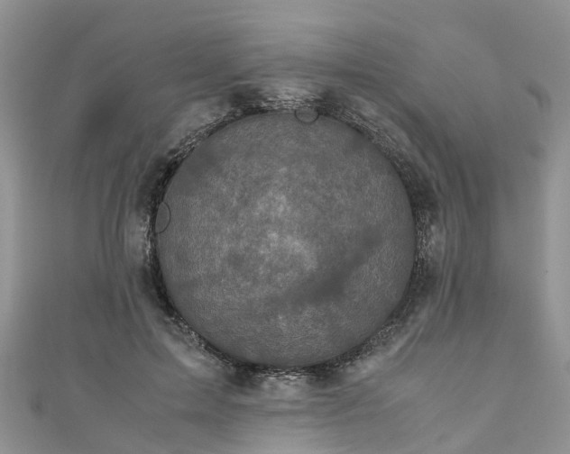 X0000110950599200906261322