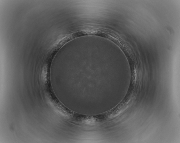 X0000110950600200906261322