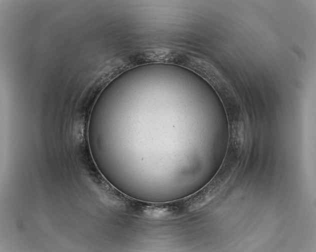 X0000110950602200906261322