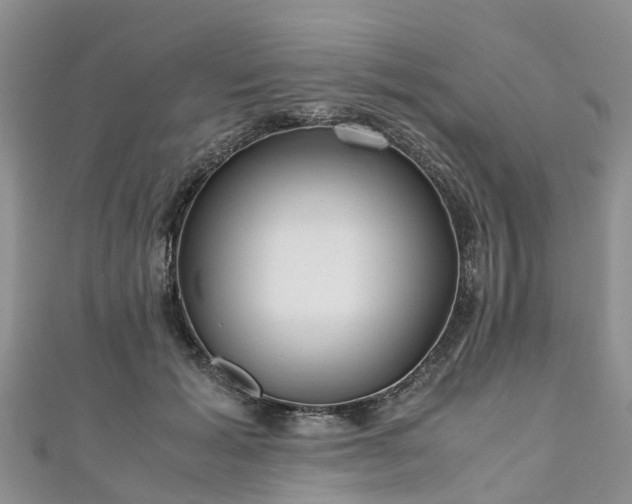 X0000110950605200906261322