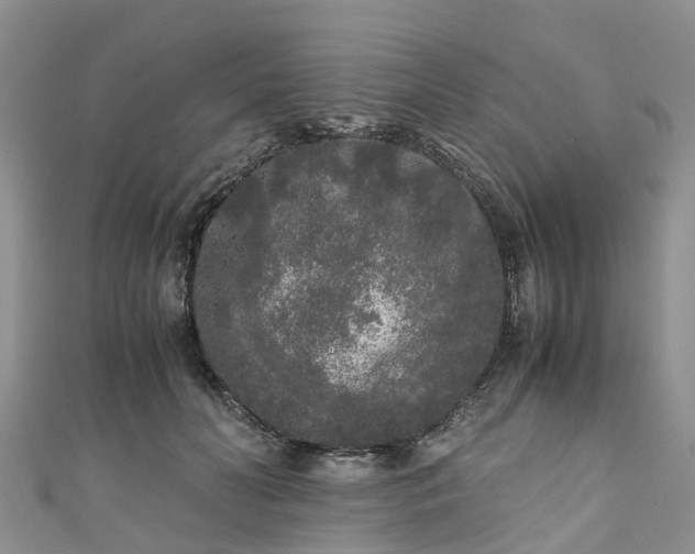 X0000110950606200906261322
