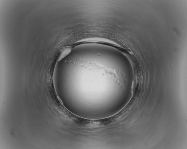 X0000110950609200906261322