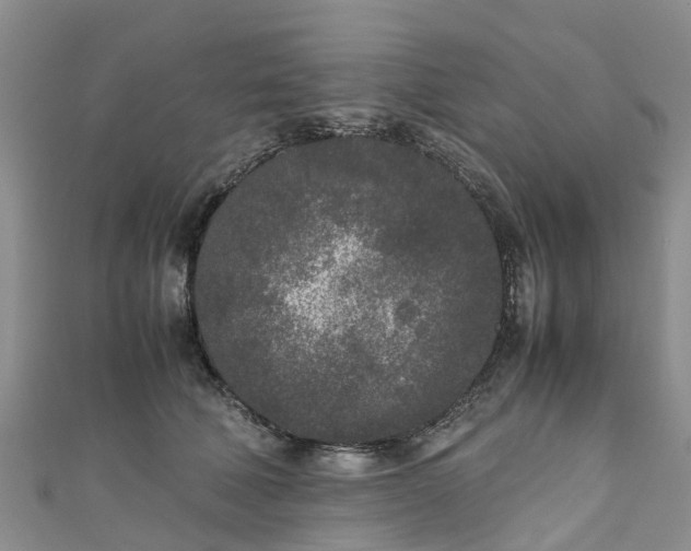 X0000110950610200906261322