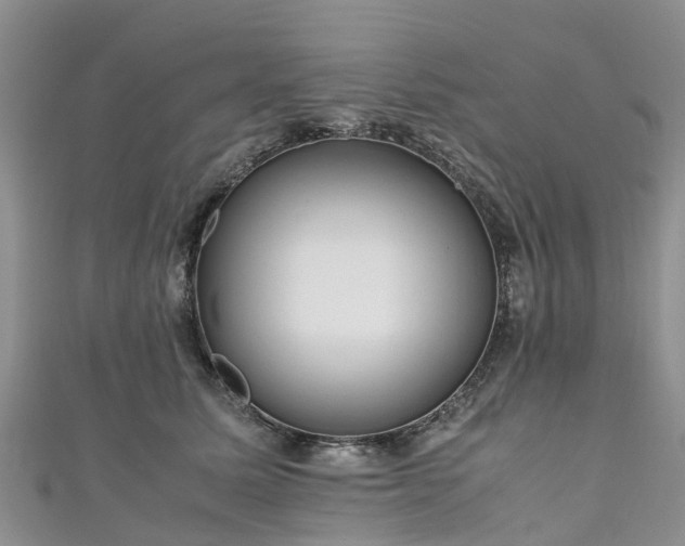 X0000110950611200906261322