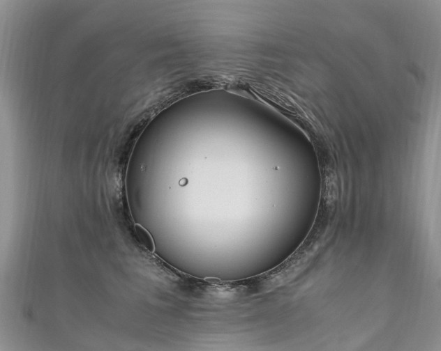 X0000110950613200906261322