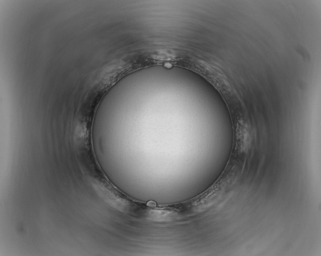 X0000110950614200906261322