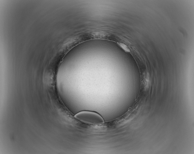 X0000110950619200906261322