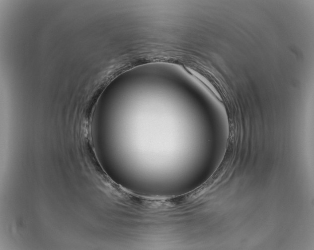 X0000110950621200906261322