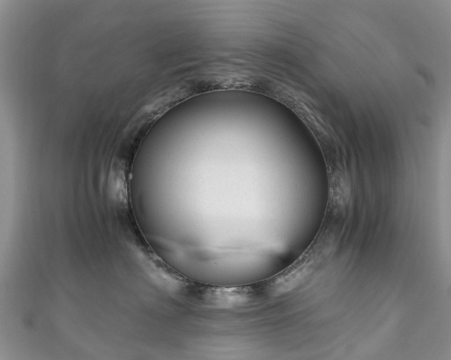 X0000110950622200906261322