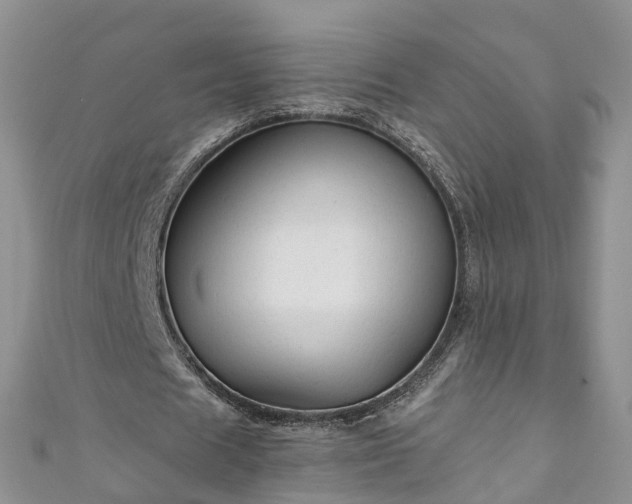 X0000110950625200906261321