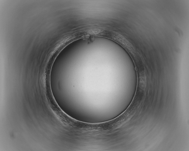 X0000110950626200906261321