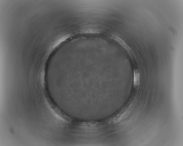 X0000110950627200906261321