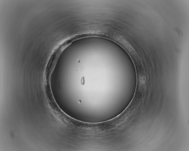 X0000110950628200906261321