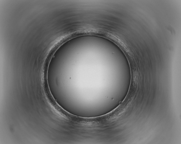 X0000110950629200906261321