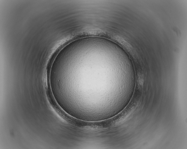 X0000110950630200906261321
