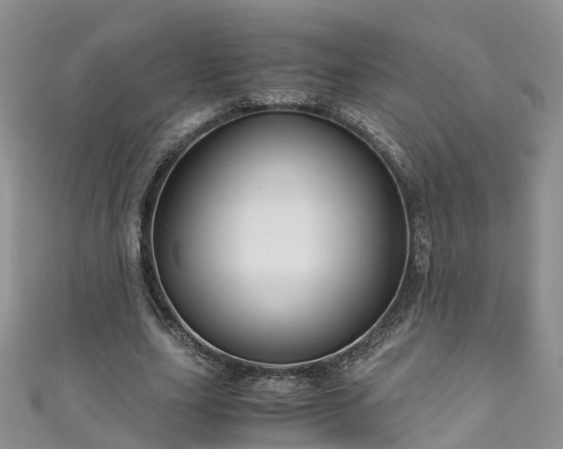 X0000110950631200906261321