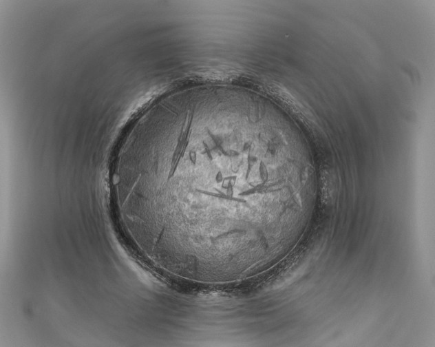 X0000110950634200906261321