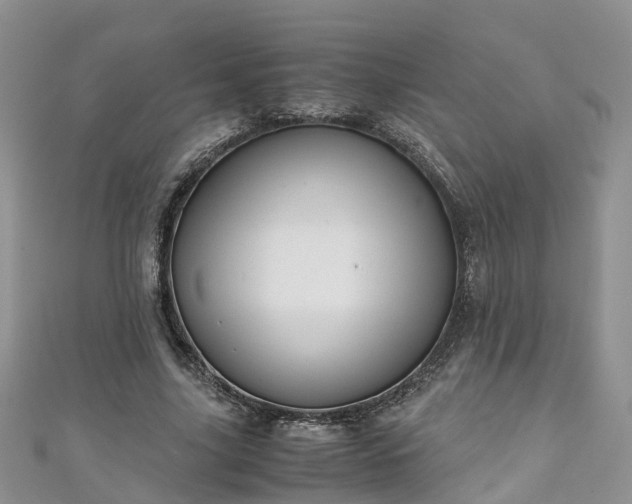 X0000110950635200906261321