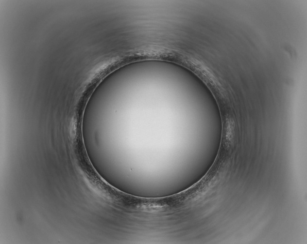 X0000110950636200906261321