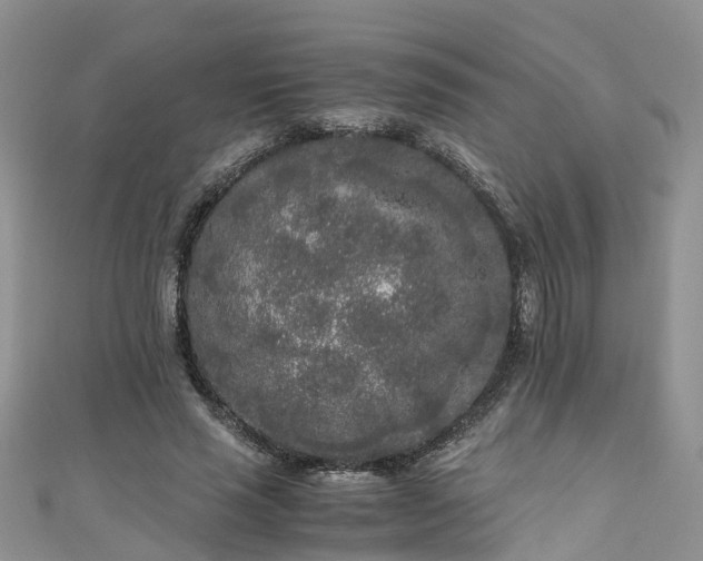 X0000110950637200906261321