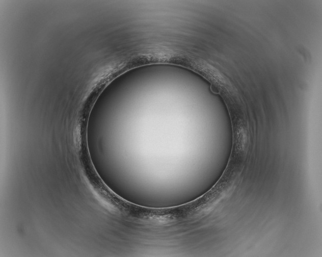 X0000110950638200906261321